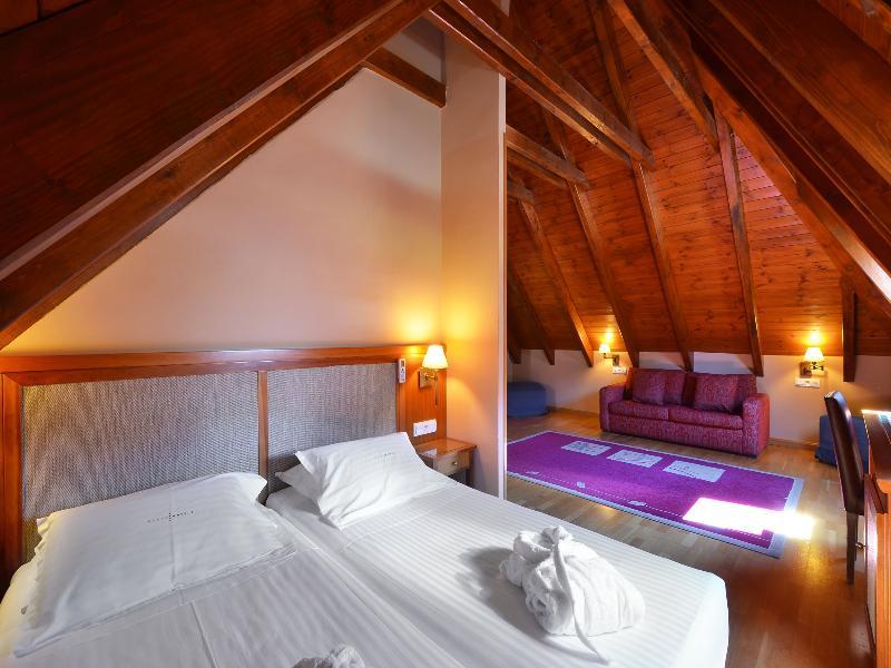 Hotel Spa Acevi Val D'Aran Vielha Exteriör bild